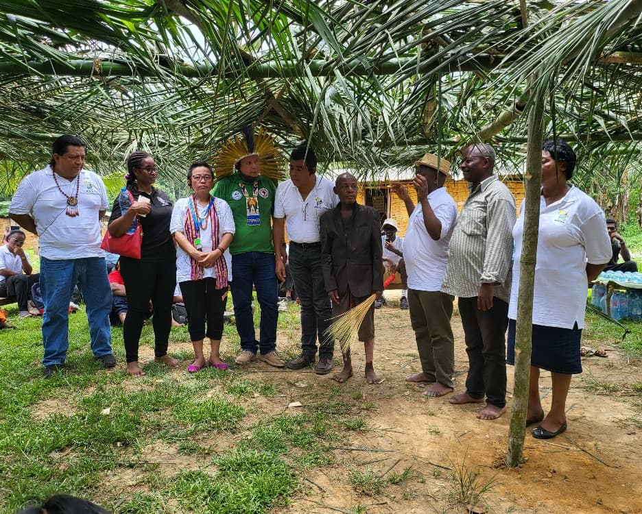 Forêt d'Afrique Centrale